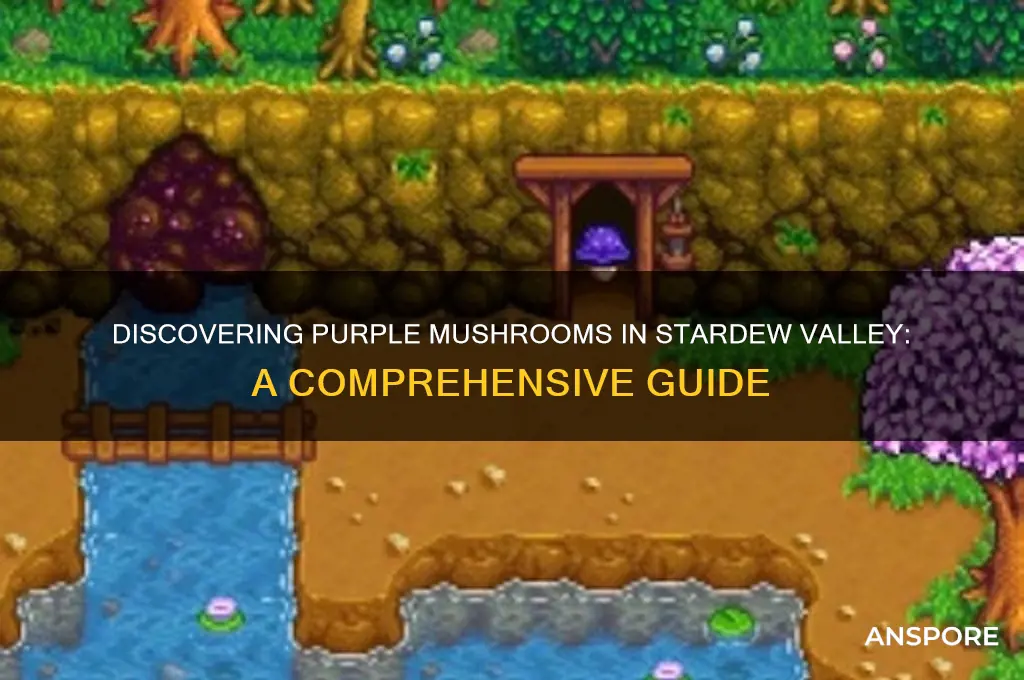 how to find purple mushrooms stardew