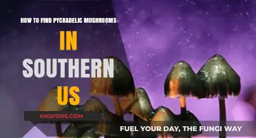 Exploring the Southern US: A Guide to Locating Psychedelic Mushrooms