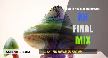 Discovering Rare Mushrooms: KH Final Mix Secrets and Tips