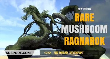 Discovering Ragnarok's Hidden Mushrooms: A Guide to Rare Fungal Finds