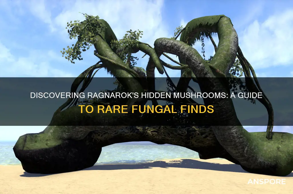 how to find rare mushrooms ragnarok