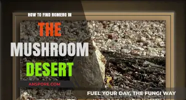 Locate Romero in the Mushroom Desert: A Comprehensive Guide