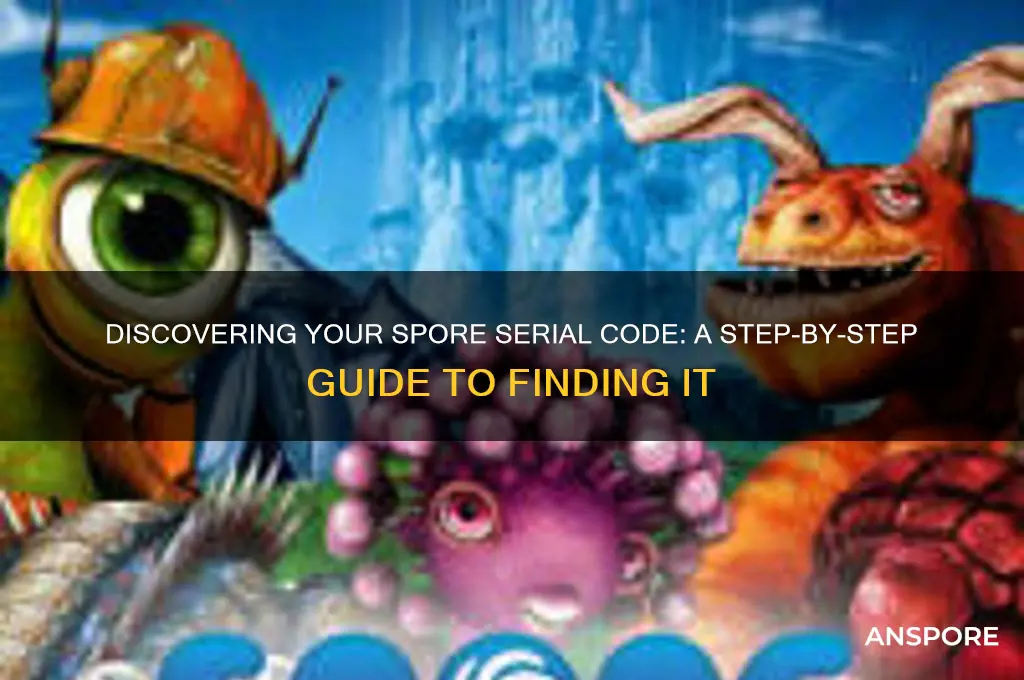 how to find serial code for spore
