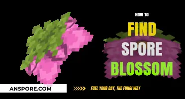 Discovering Spore Blossoms: Essential Tips for Locating This Rare Fungus