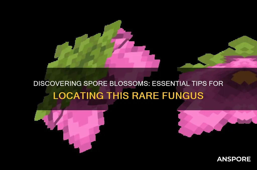 how to find spore blossom