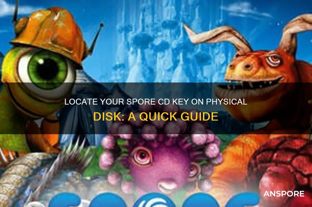 how to find spore cd key on physical disk