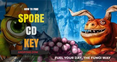 Discover Your Spore CD Key: A Quick and Easy Guide