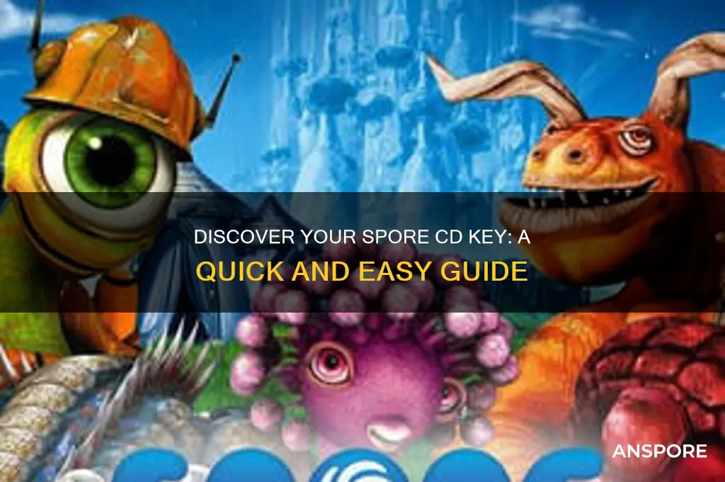 how to find spore cd key