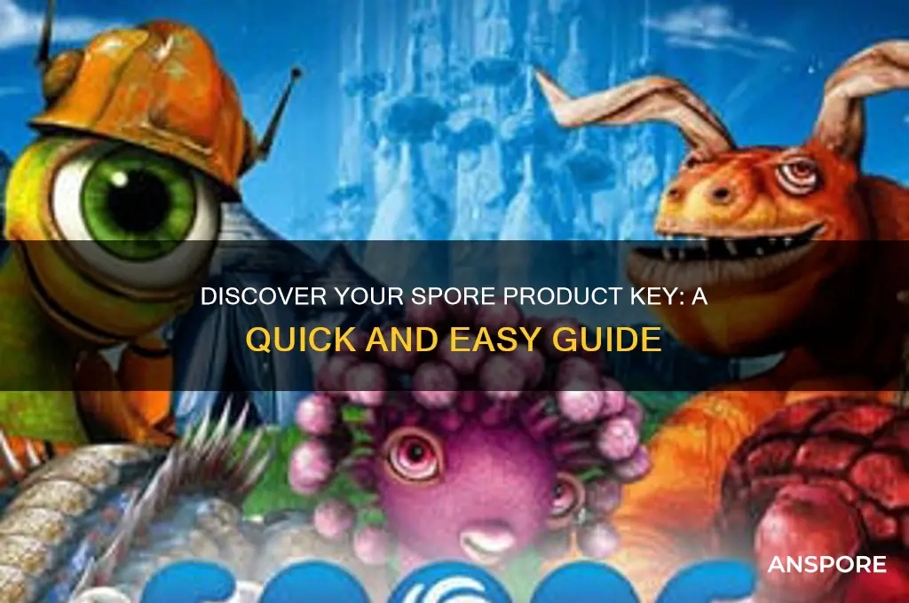 how to find spore product key
