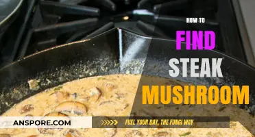 Discovering Steak Mushrooms: A Guide to Finding the Perfect Pairing