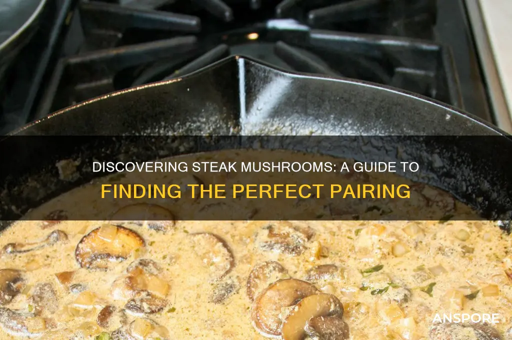 how to find steak mushrooms