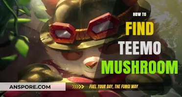Mastering the Hunt: Effective Strategies to Find Teemo Mushrooms