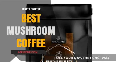 Discover the Perfect Mushroom Coffee: A Guide to Top Picks