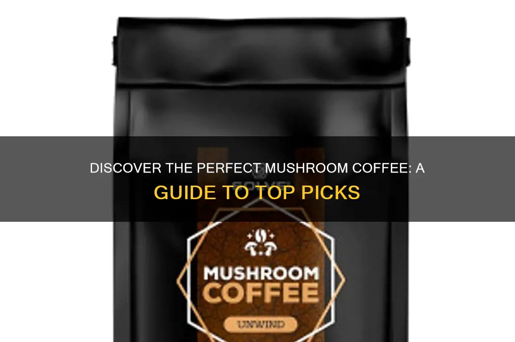 how to find the best mushroom coffee