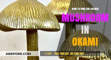 Discovering Okami's Golden Mushroom: A Step-by-Step Guide to Finding It