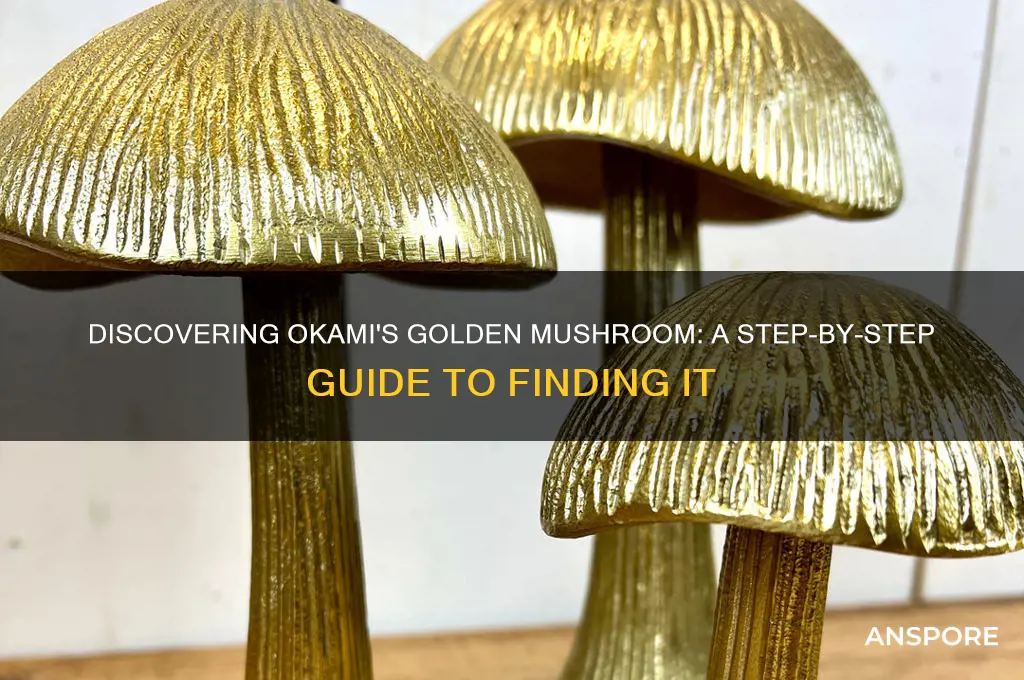 how to find the golden mushroom in okami