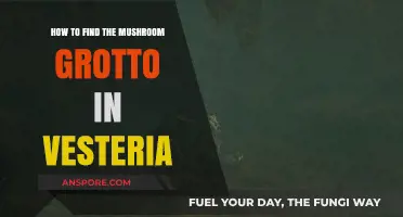Discovering Vesteria's Mushroom Grotto: A Step-by-Step Guide