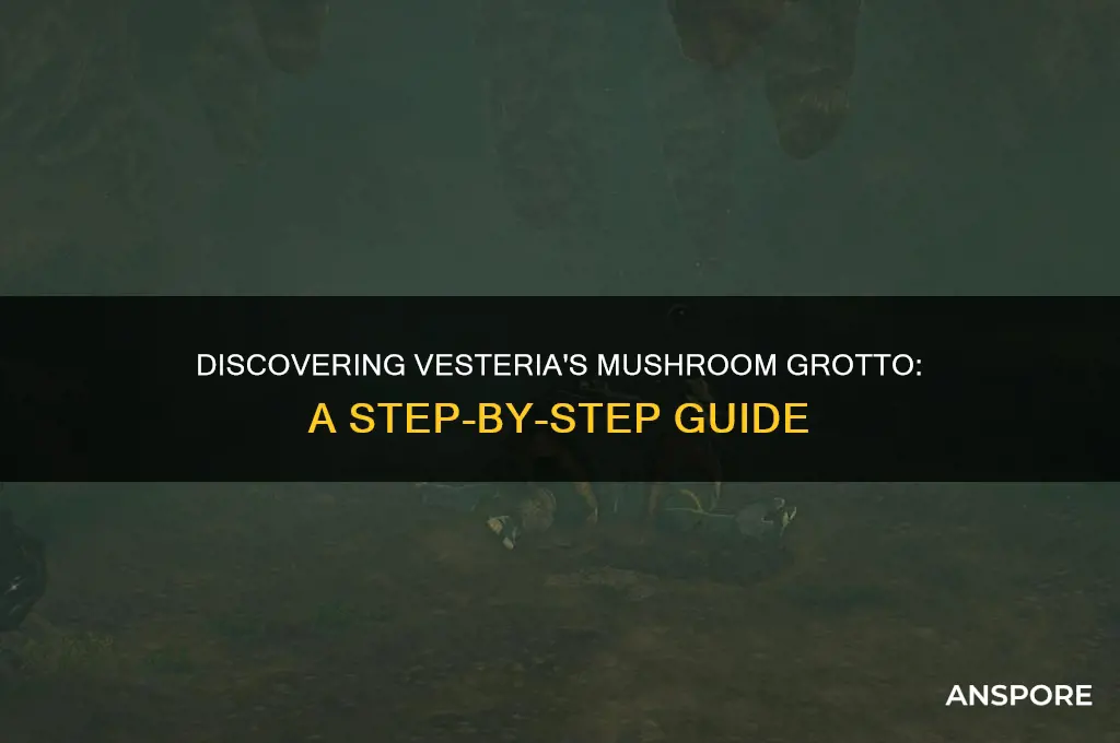 how to find the mushroom grotto in vesteria