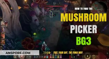 Discovering the Mushroom Picker in Baldur's Gate 3: A Comprehensive Guide