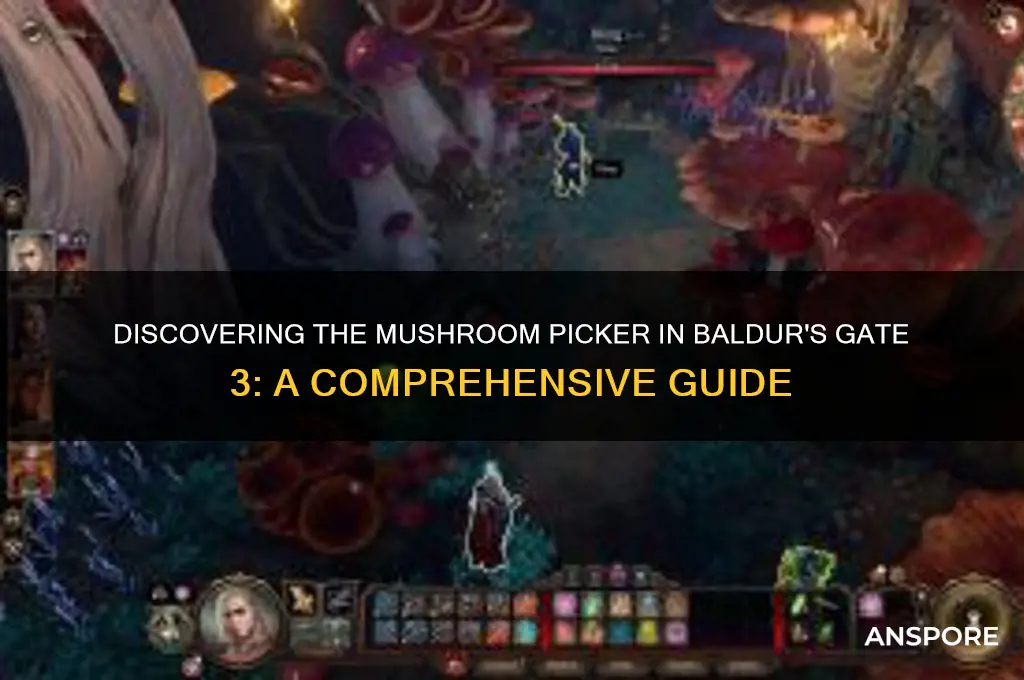 how to find the mushroom picker bg3