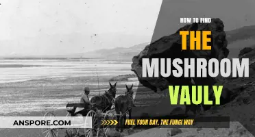 Discovering Mushroom Valley: A Guide to Locating This Hidden Gem