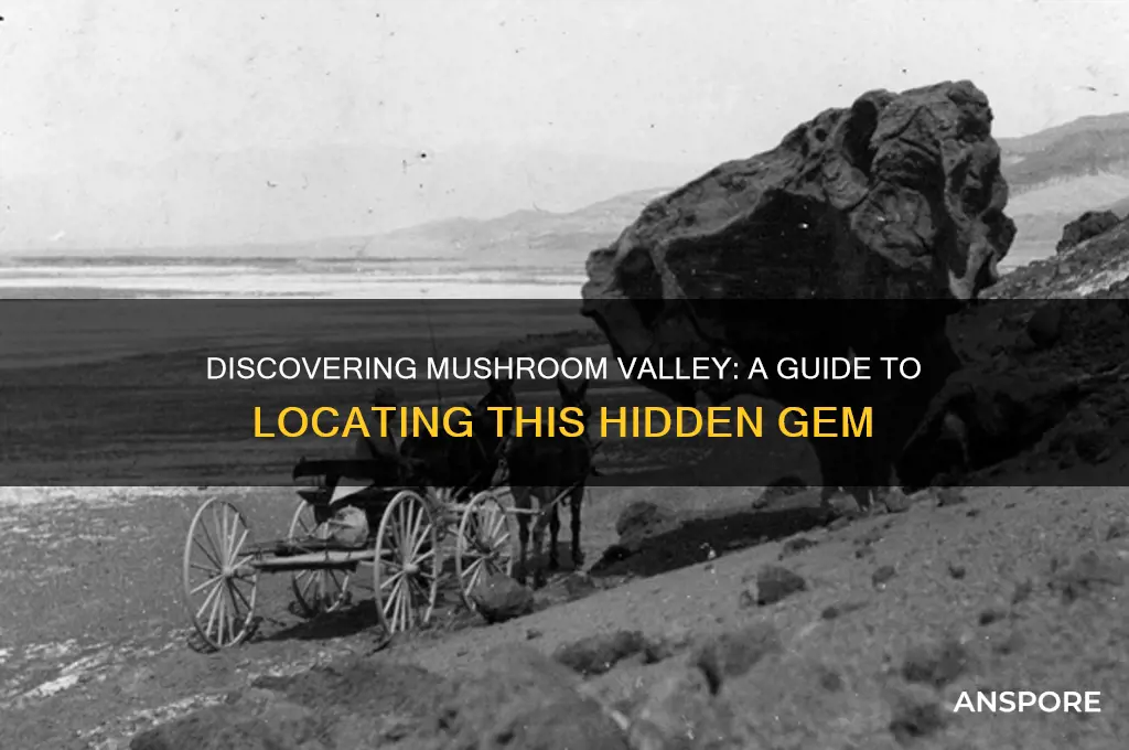 how to find the mushroom vauly