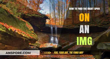 Mastering Image Analysis: Tips to Identify the Perfect Spot on Any IMG