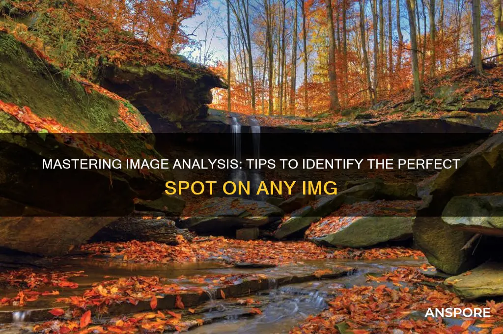 how to find the right spor on an img