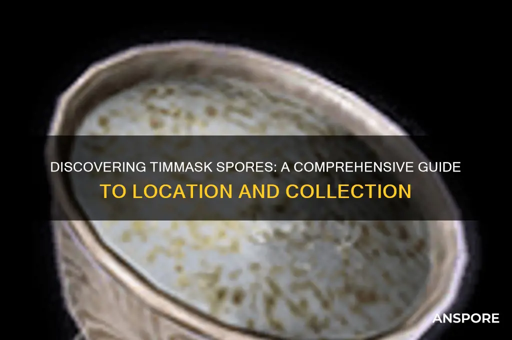 how to find timmask spores