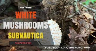 Finding White Mushrooms in Subnautica: A Comprehensive Guide