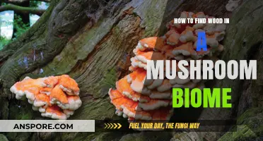 Finding Wood in Mushroom Biomes: Essential Tips and Strategies