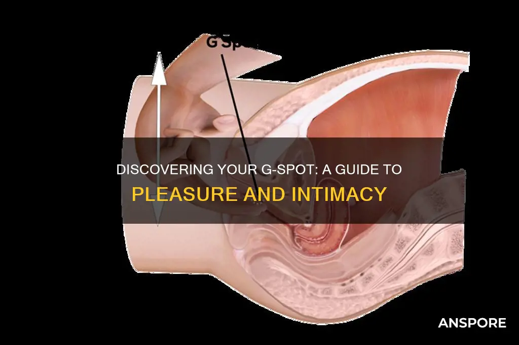 how to find your g spor