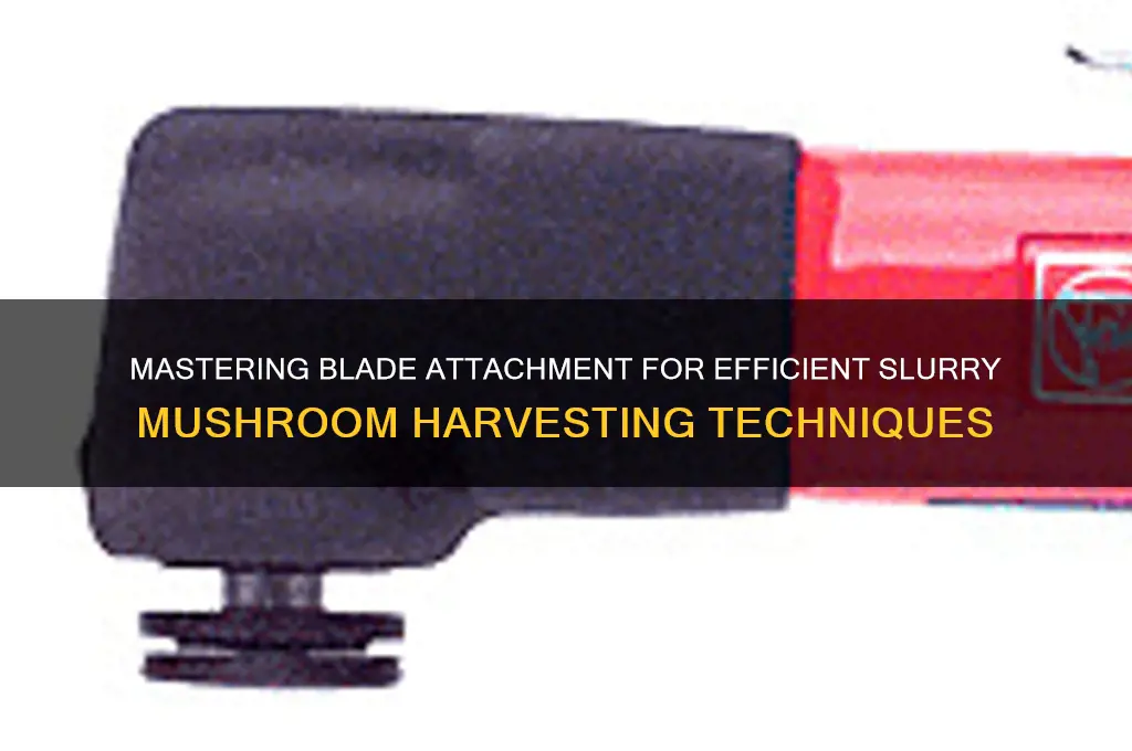 how to fit blade attachment for slurry mushrooms