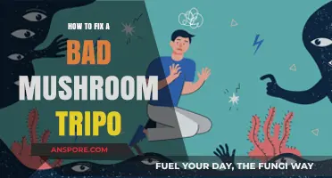 Recovering from a Bad Mushroom Trip: Essential Steps for Healing and Clarity