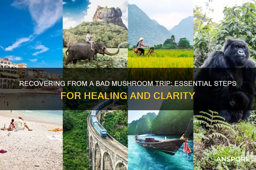 how to fix a bad mushroom tripo