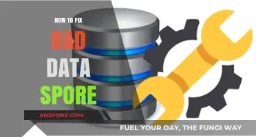 Effective Strategies to Repair and Prevent Bad Data Spores in Databases