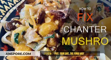 The Ultimate Guide to Cooking Chanterelle Mushrooms