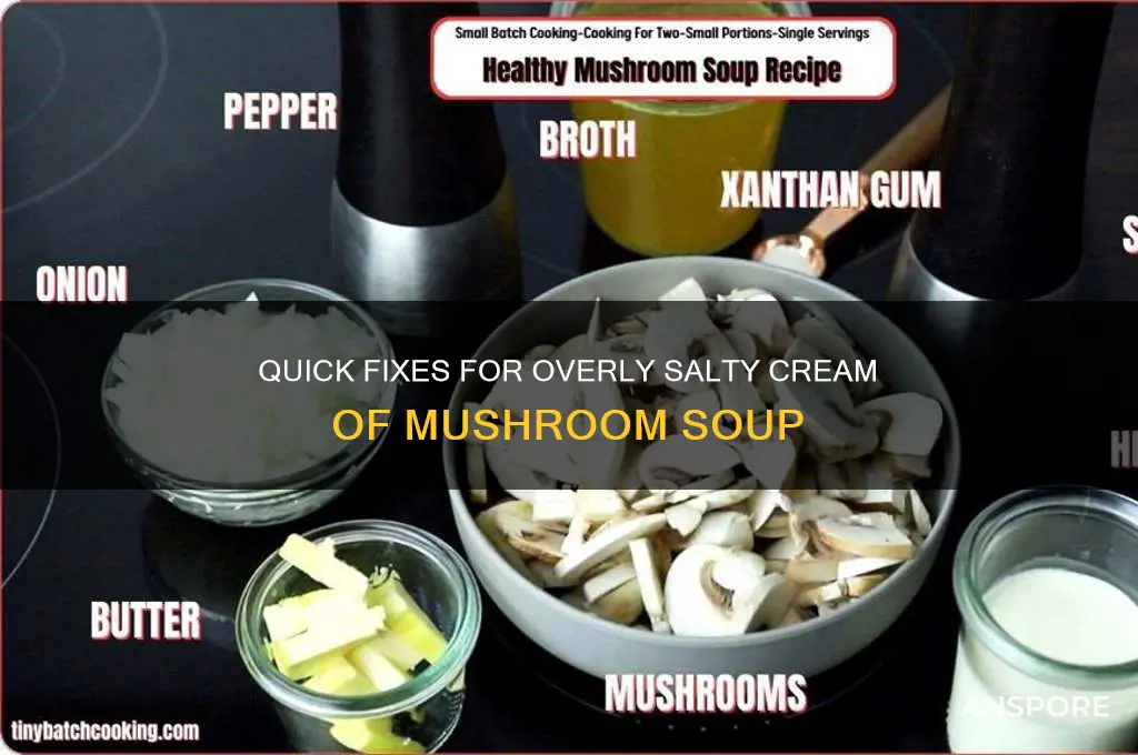 how to fix cream mushroom soup thats too salty