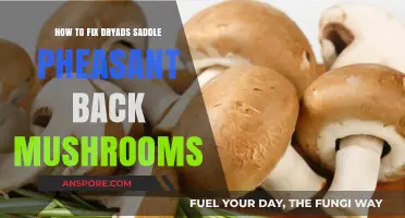 Reviving Dryad's Saddle & Pheasant Back Mushrooms: Simple Fixes for Freshness