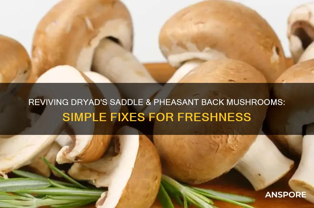 how to fix dryads saddle pheasant back mushrooms