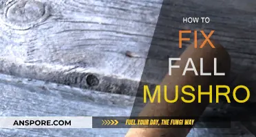 Reviving Mushrooms: Fall Gardening Tips and Tricks