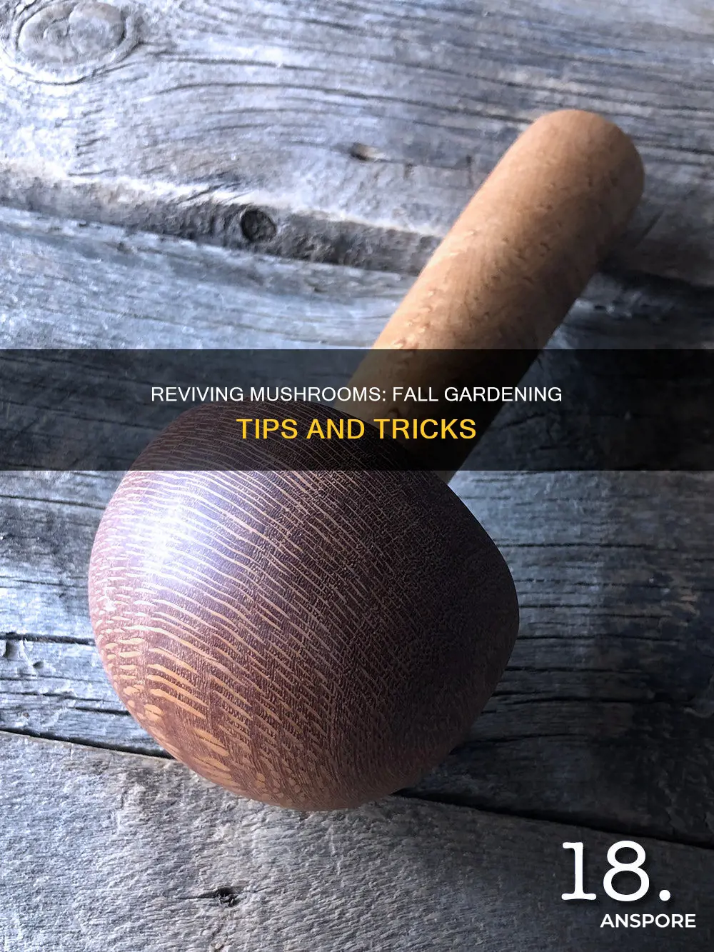 how to fix fall mushroom