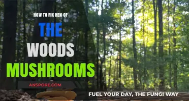 Reviving Hen of the Woods: Simple Fixes for Perfect Mushroom Restoration