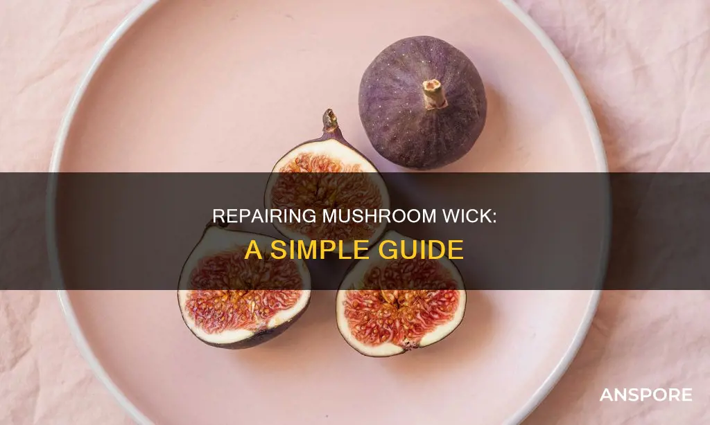 how to fix mushroom wick