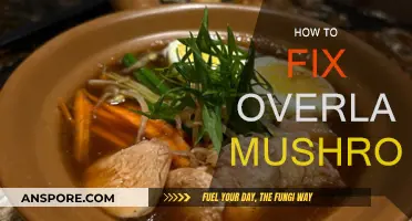 Fixing Overlay Mushrooms: A Step-by-Step Guide