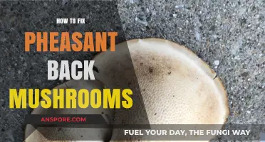 Reviving Pheasant Back Mushrooms: Simple Steps to Restore Their Flavor and Texture
