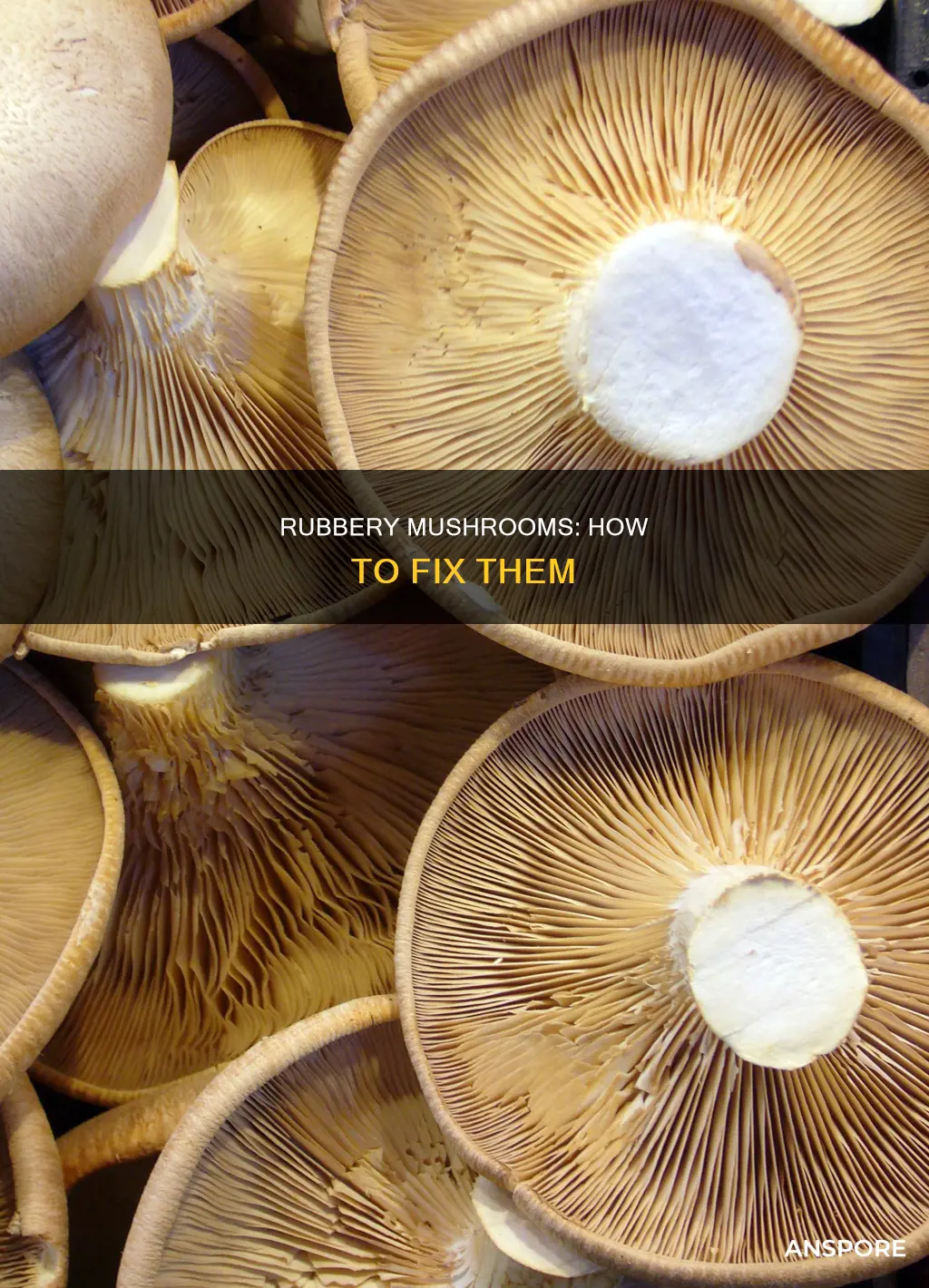 how to fix rubbery mushrooms