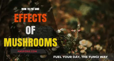 Managing Mushroom Side Effects: Effective Remedies and Prevention Tips