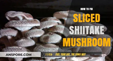 Mastering the Art of Fixing Sliced Shiitake Mushrooms: Tips and Tricks