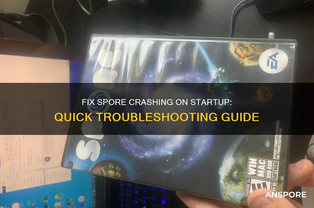 how to fix spore crashing on startup